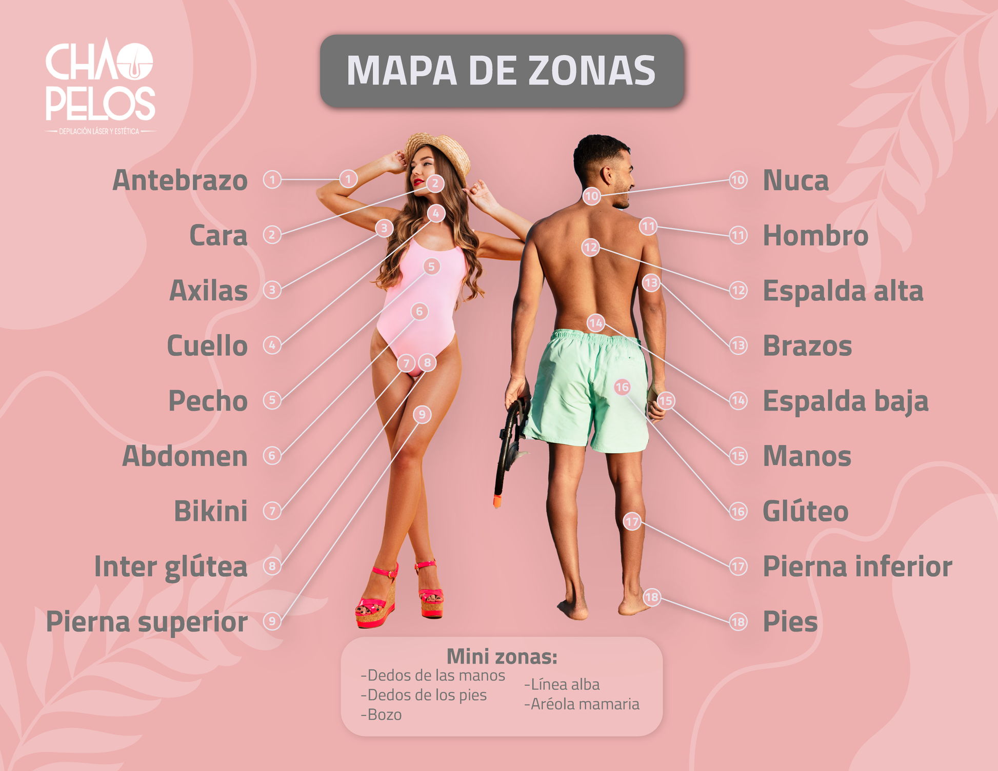 Depilacion Area Depilacion Tipo Bikini Depilacion Pubis Depilar